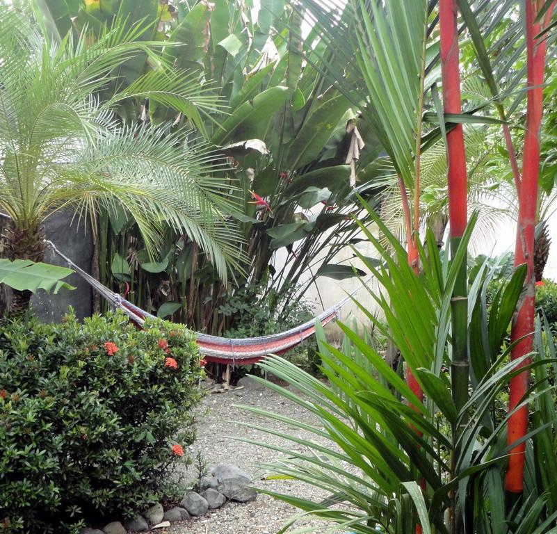 Cabinas Tropicales Puerto Jimenez Ngoại thất bức ảnh