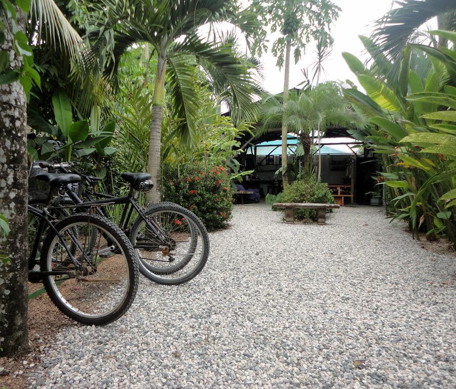 Cabinas Tropicales Puerto Jimenez Ngoại thất bức ảnh