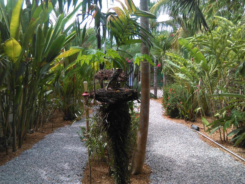 Cabinas Tropicales Puerto Jimenez Phòng bức ảnh