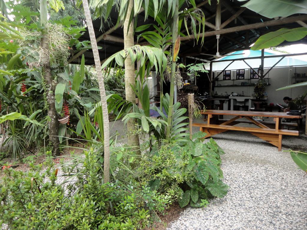 Cabinas Tropicales Puerto Jimenez Phòng bức ảnh