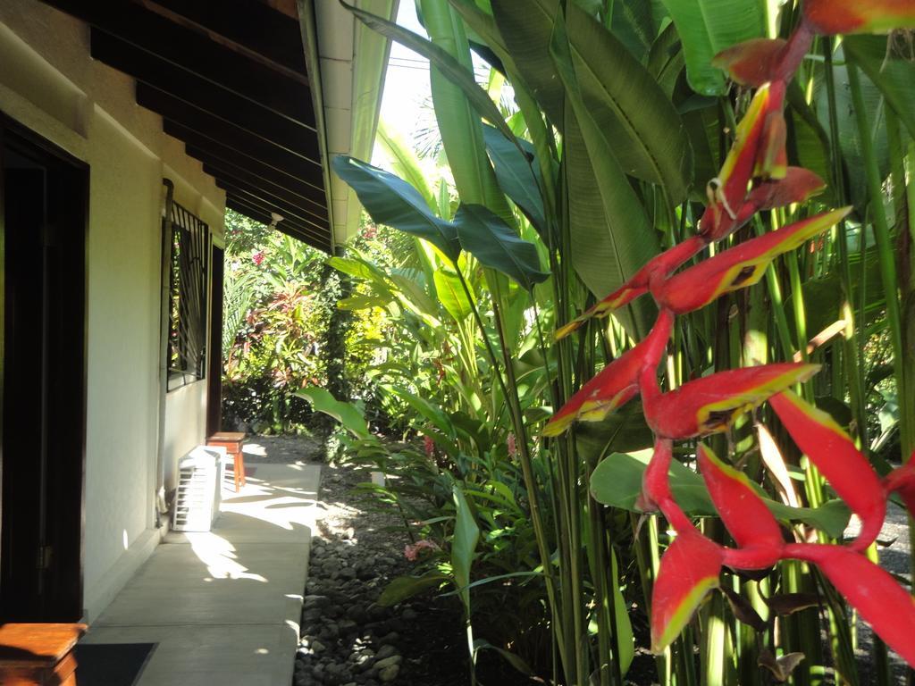 Cabinas Tropicales Puerto Jimenez Phòng bức ảnh