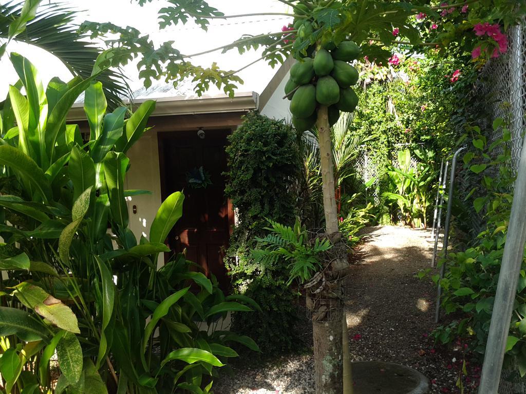 Cabinas Tropicales Puerto Jimenez Ngoại thất bức ảnh