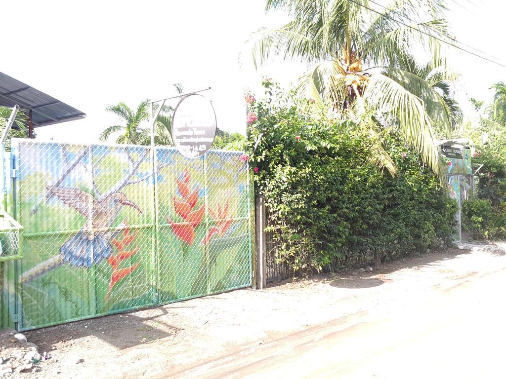 Cabinas Tropicales Puerto Jimenez Ngoại thất bức ảnh