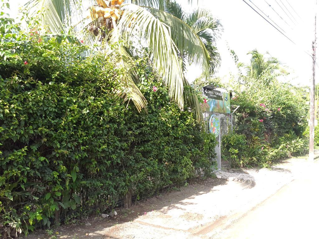 Cabinas Tropicales Puerto Jimenez Ngoại thất bức ảnh