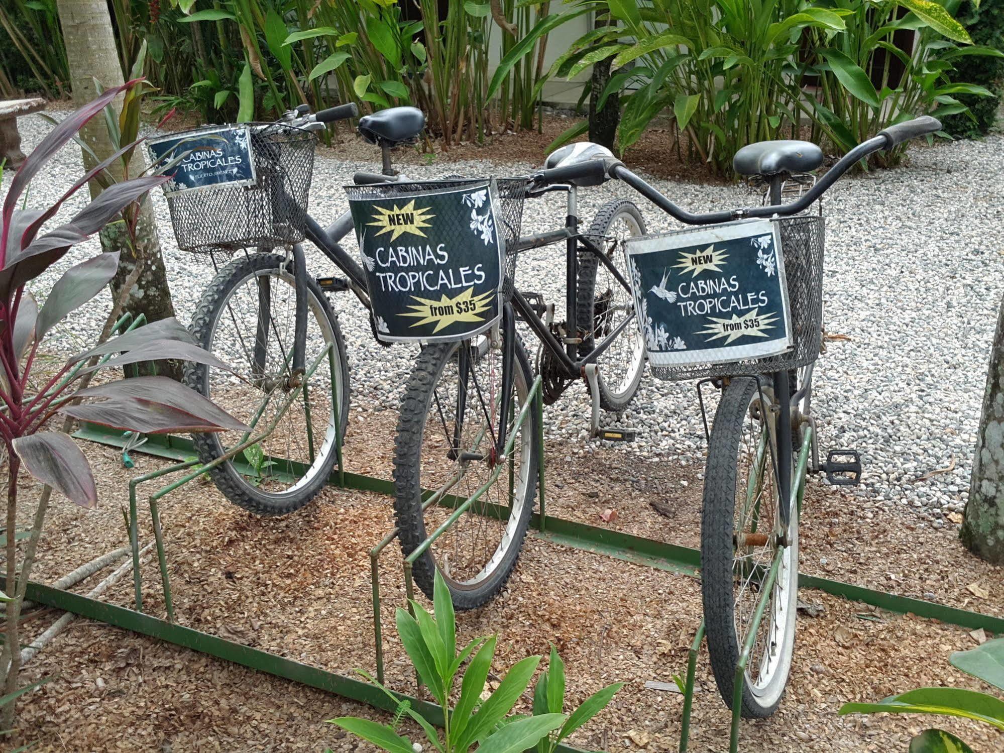 Cabinas Tropicales Puerto Jimenez Ngoại thất bức ảnh